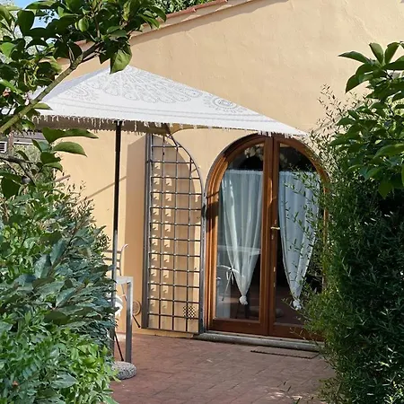 Gatto Bianco Tizzauli-3
